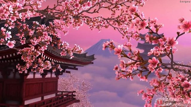 Samurai Love. poem. — Steemit