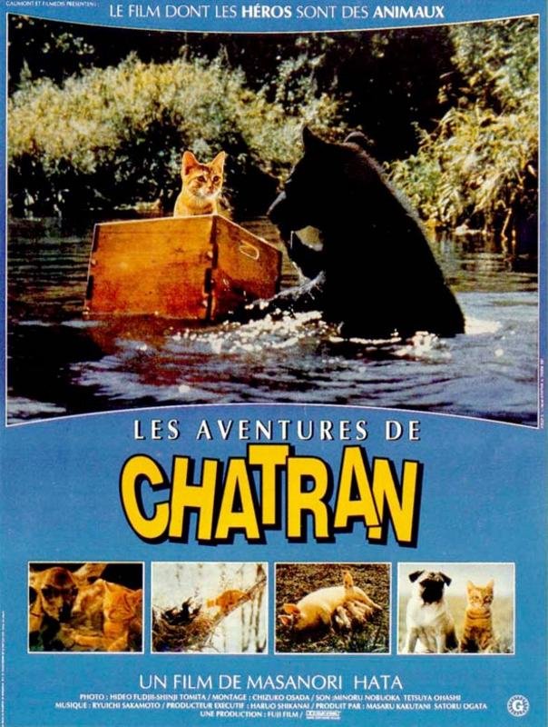 les aventures de chatran