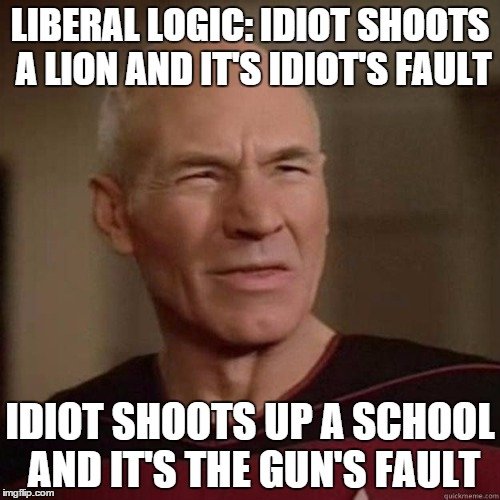 liberal_logic.jpg