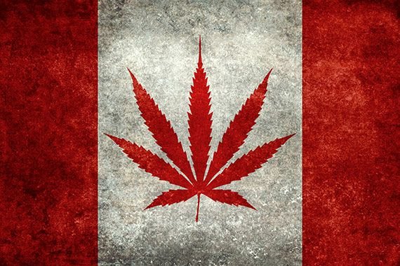 Cannadis- Canada Legalize Marijuana T-Shirt