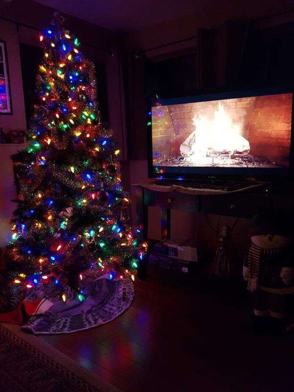 Watching The Fireplace By The Christmas Tree Original Photos