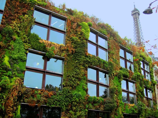 living wall paris.jpg