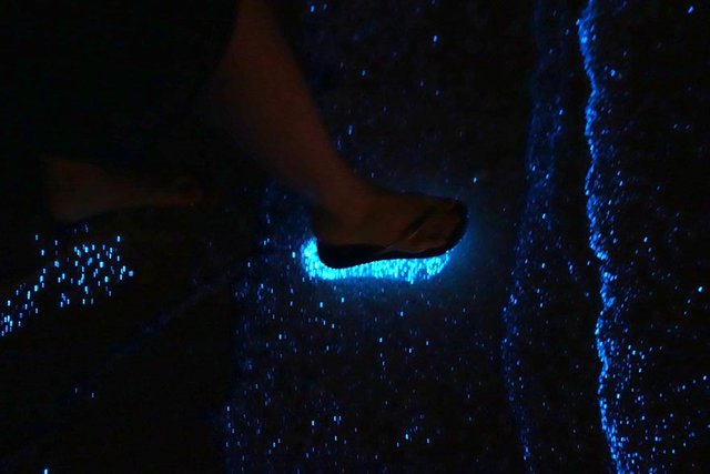 holbox-glowing-footsteps.jpg