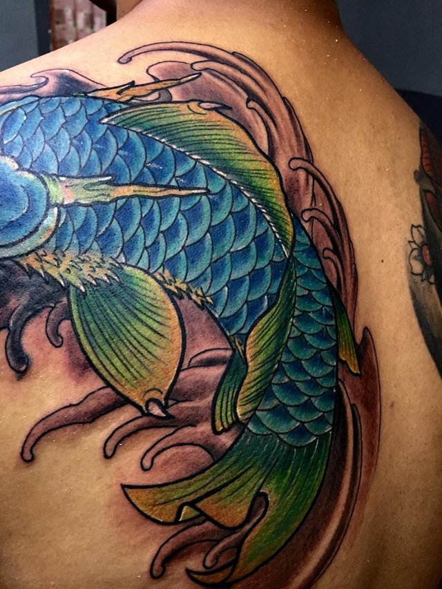 Koi Fish Tattoo Cover up. — Steemit