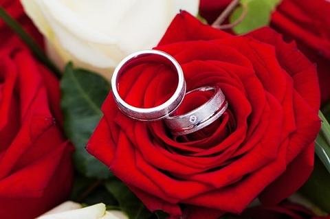 86+ Gambar Bunga Mawar Merah Romantis Paling Bagus 86+ Gambar Bunga Mawar Merah Romantis Paling Bagus