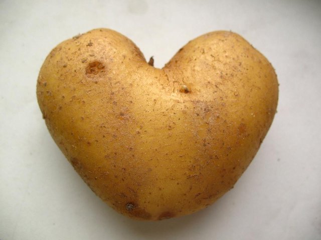 Potato in the shape of Heart