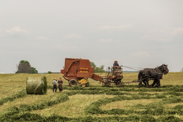 people-field-working-agriculture.jpg