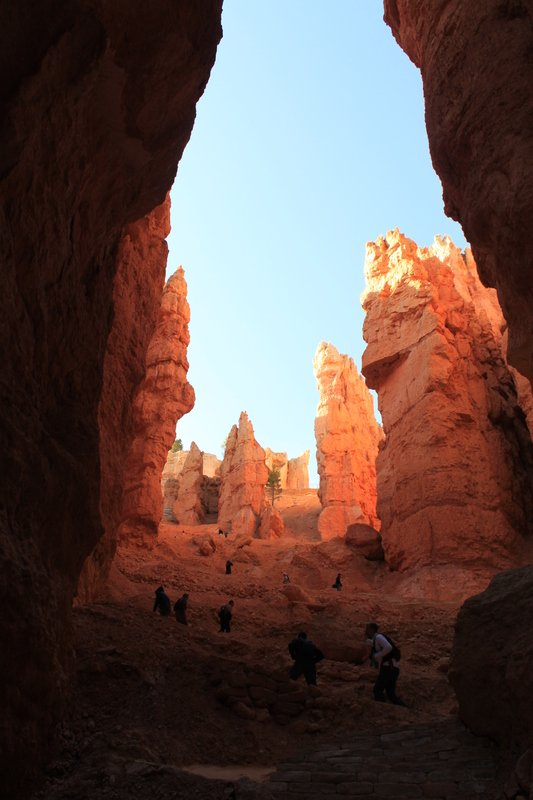 Bryce Canyon 206.jpg