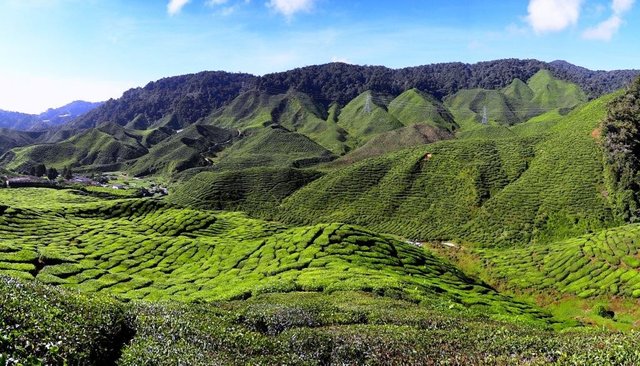 ndawara-1024x585