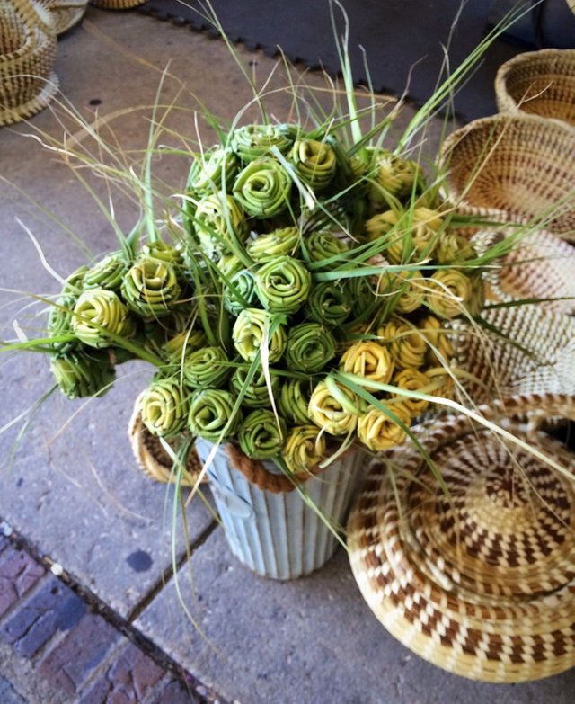 Sweetgrass Repels Mosquitoes