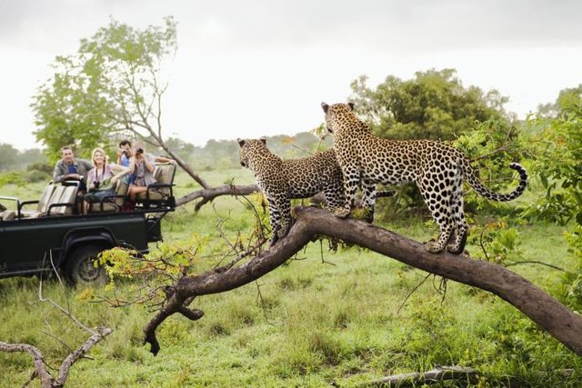 South-Africa-2d7ed9b0b53f