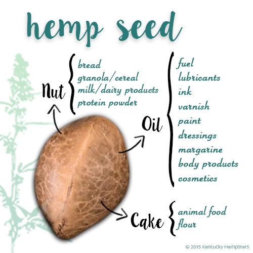 hemp seed.png