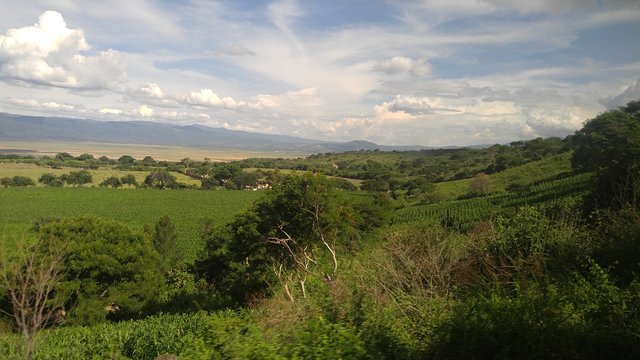 landscape countryside mexico