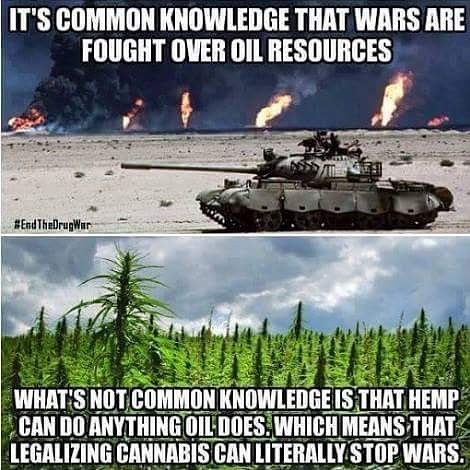 hemp stops wars.jpg