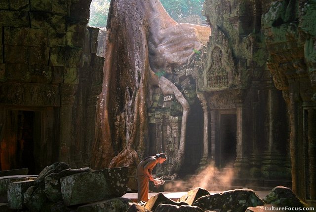 ta-prohm-3