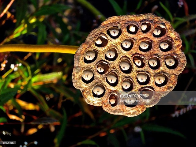 4_ABD68_EE-7_FDD-41_DE-9784-3_E1_B77451_D9_C-835-00000104_D2772_FDD.jpg