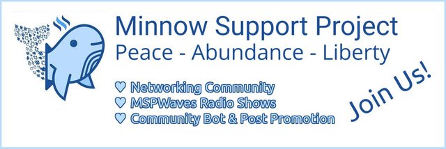 Minnow Support Project