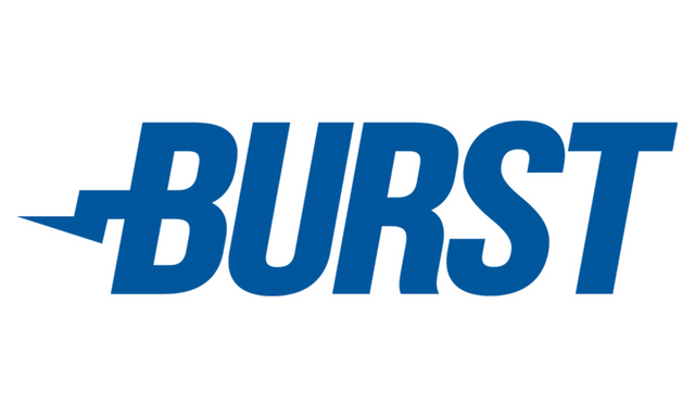 Burst Logo - blue on white