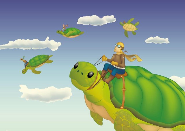 Flying Turtles