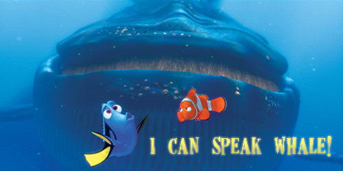 You Can T Speak Whale With Your English Speaking Face Steemit