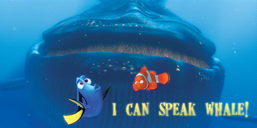 How to Speak Whale