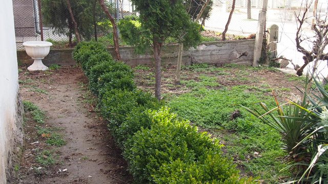 Spring Is Comming Time To Work In The Garden Part 1 Steemit