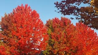 20171030_085044.jpg