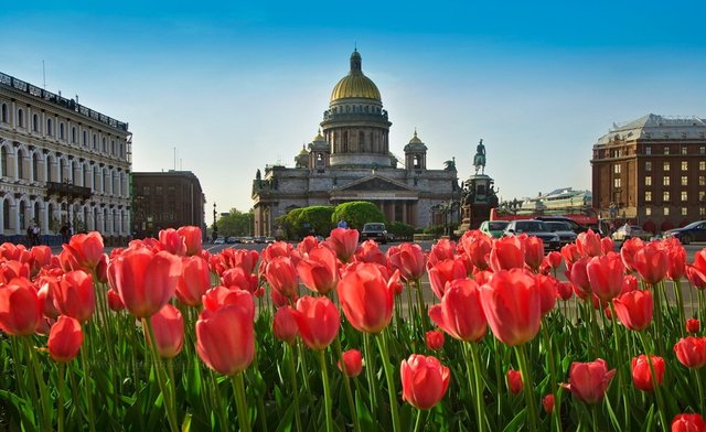 Nevsky6