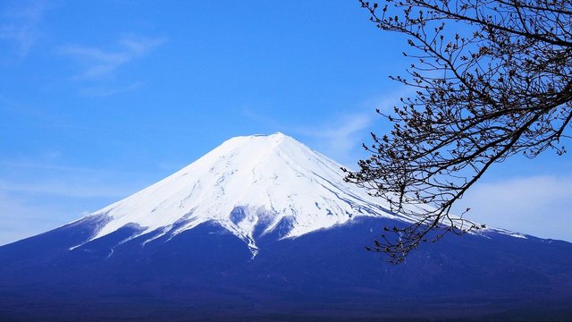 fuji