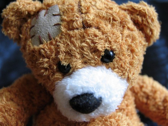 plush-teddy-bear-1082525_1920.jpg