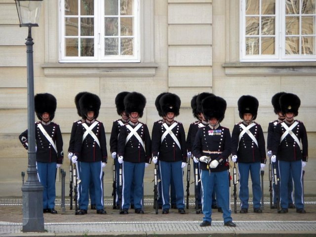 Danish guards
