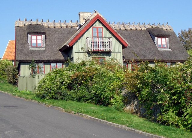 Swedish thatched roof