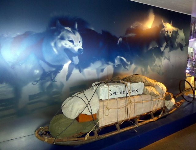 Antarctic sled