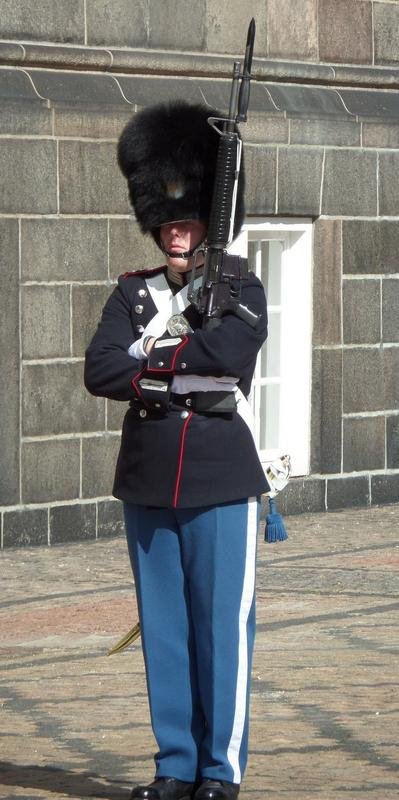 Danish Royal Life Guard