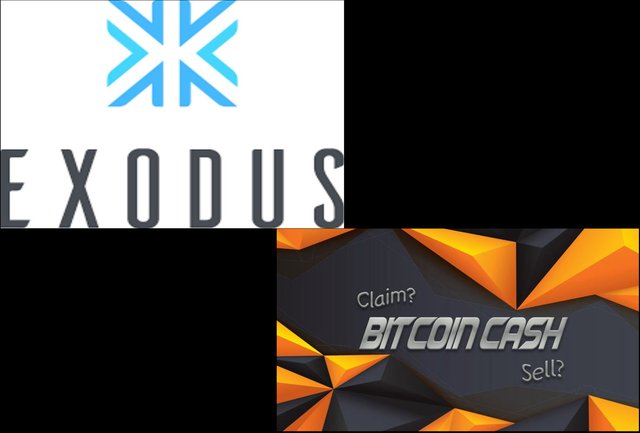 Steemit Girl Halo How To Get Your Bitcoin Cash From Your Exodus - 