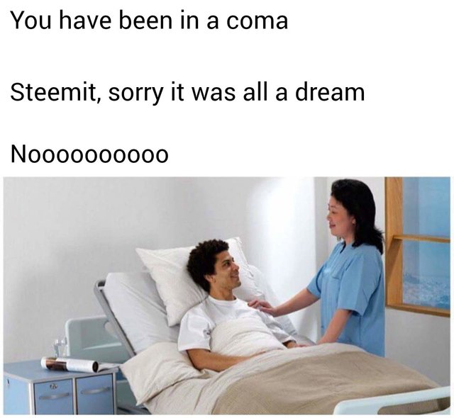 What a boring night, memes galore ) — Steemit