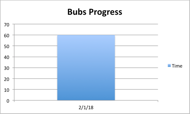 bubs-progress02012018