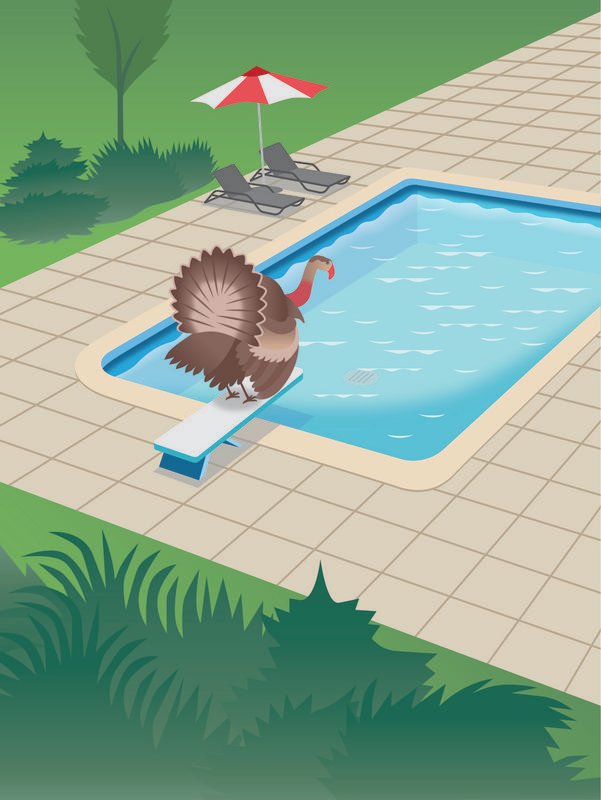 Turkey_pool