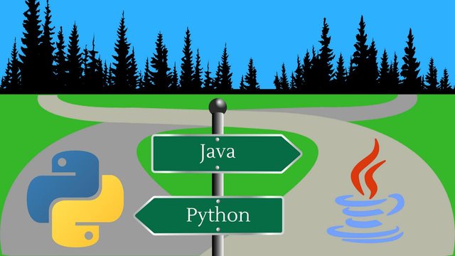 Image of Python vs Java