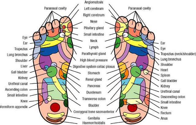 reflexology foot chart.jpg