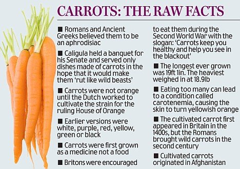 carrot facts.jpg