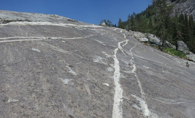 quartz veins in granite.jpg