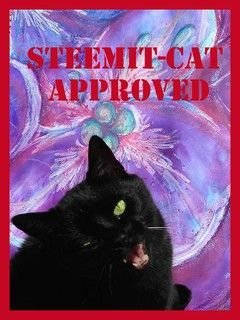 steemitcat