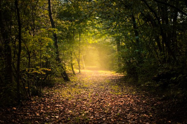 path - Laon, France