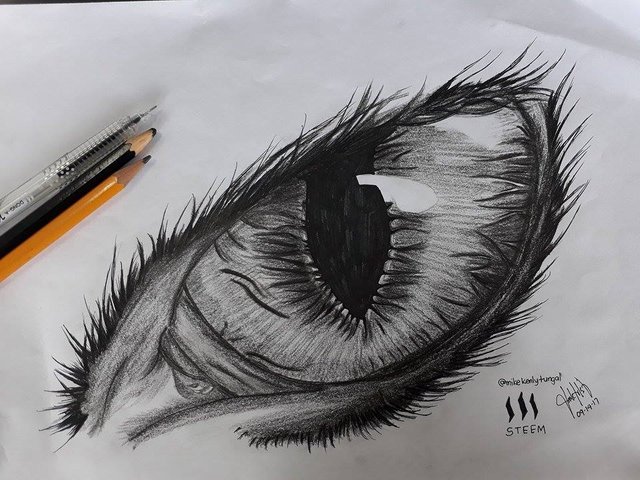 Cat Eyes Drawing Pictures  Drawing Skill