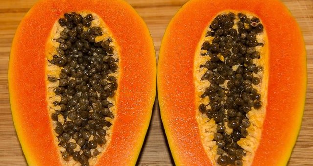 Papaya Seeds For Parasites Removal Steemit,Cooking Ribs In Oven Then Grill