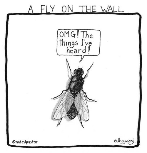 fly_on_the_wall.jpg