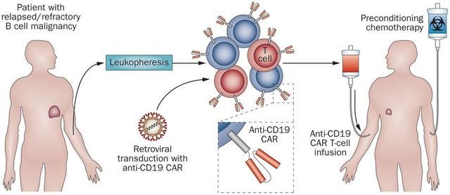 nrclinonc.2014.190-f1.jpg