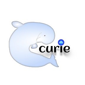 beluga curie logo