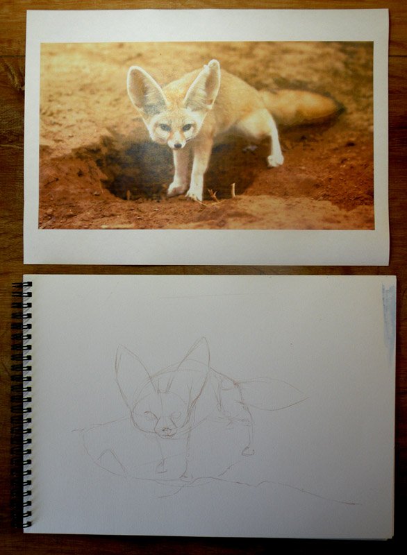 Fennec in watercolor